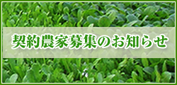 契約農家募集のお知らせ